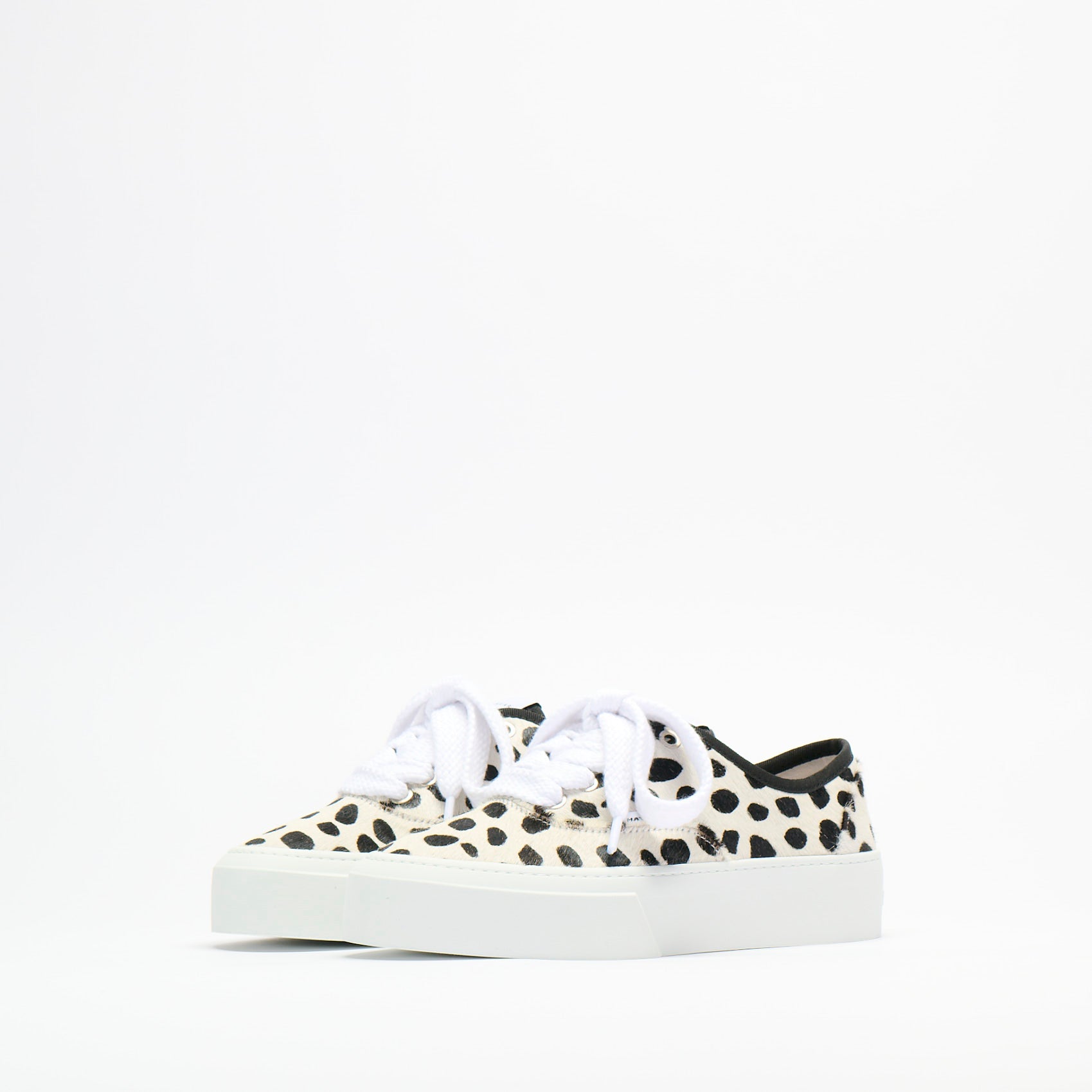Dalmatian