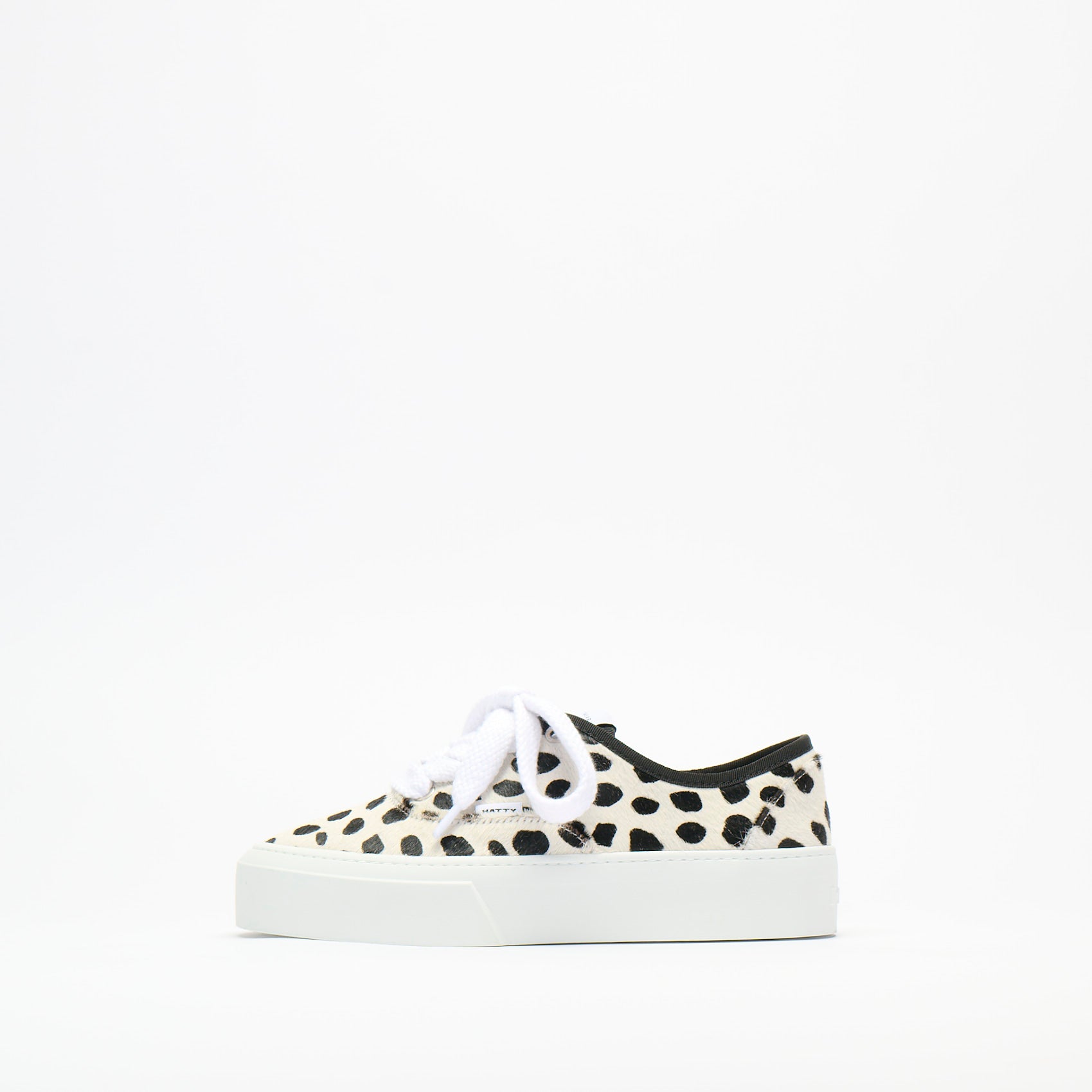 Dalmatian