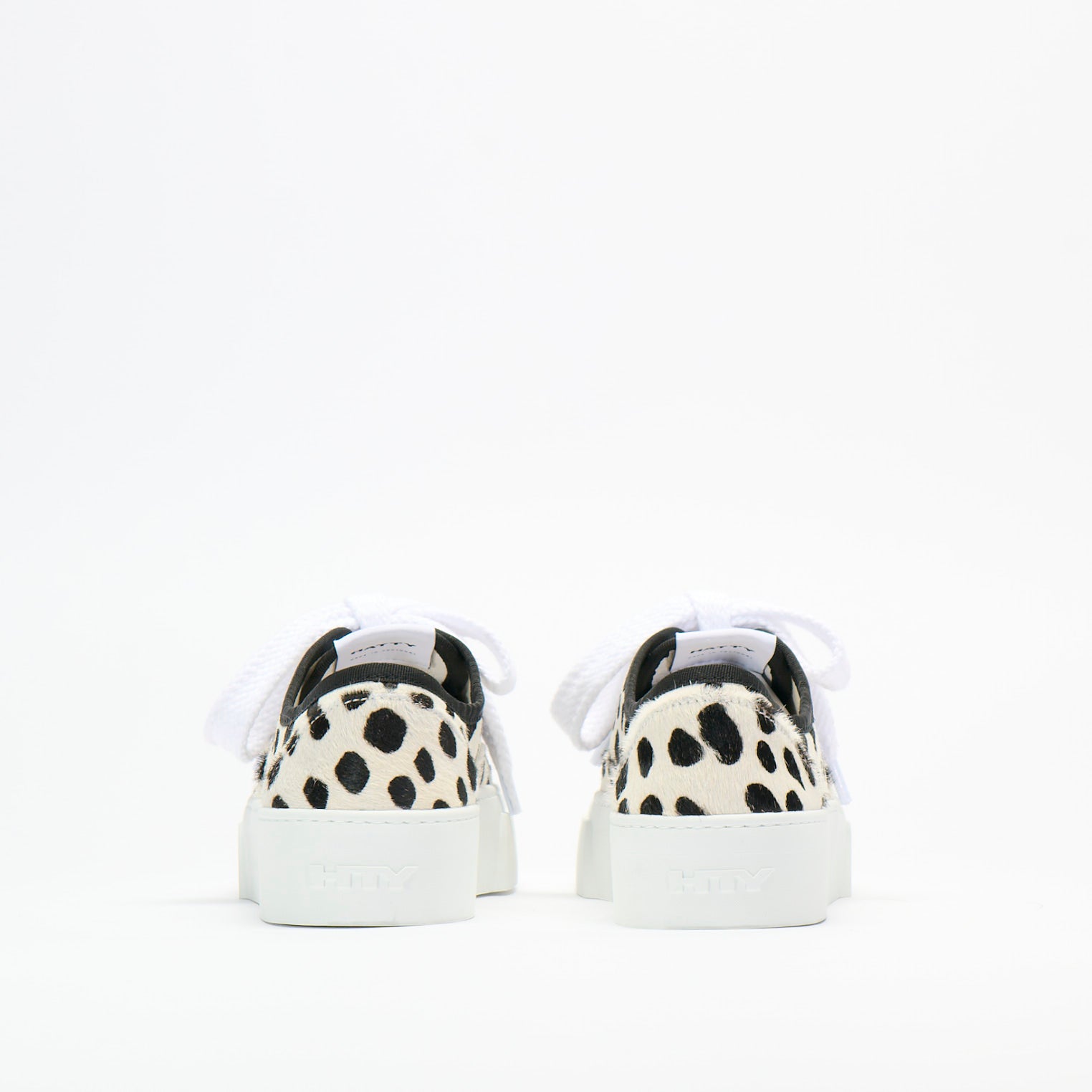 Dalmatian